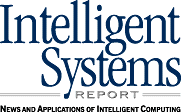 Intelligent Systems Report