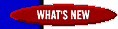 What's New at Lionheart Publishing Online