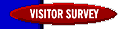 Lionheart Publishing Online Visitor Satisfaction Survey